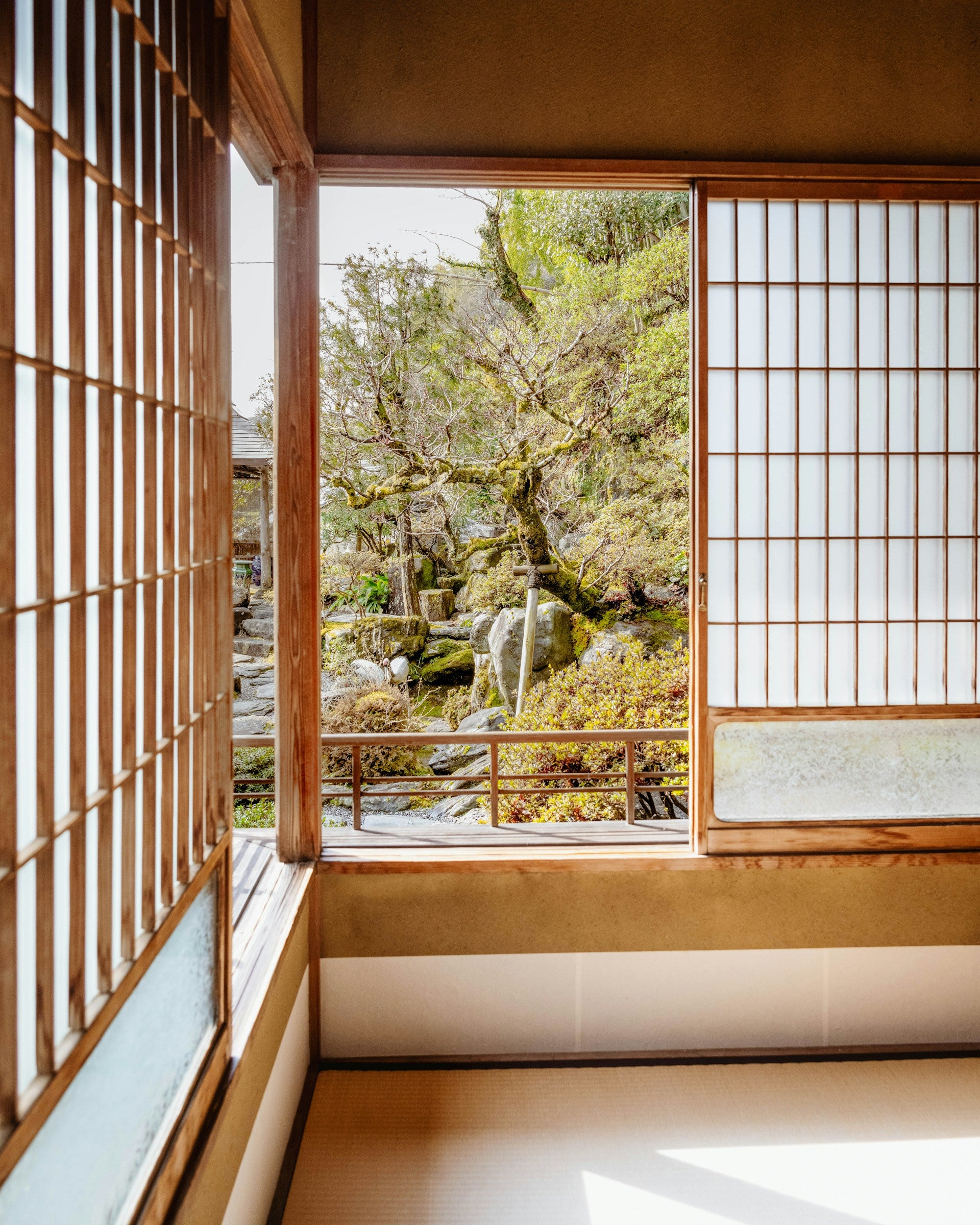 laura-barry-uC1XgvSh1ng-unsplash