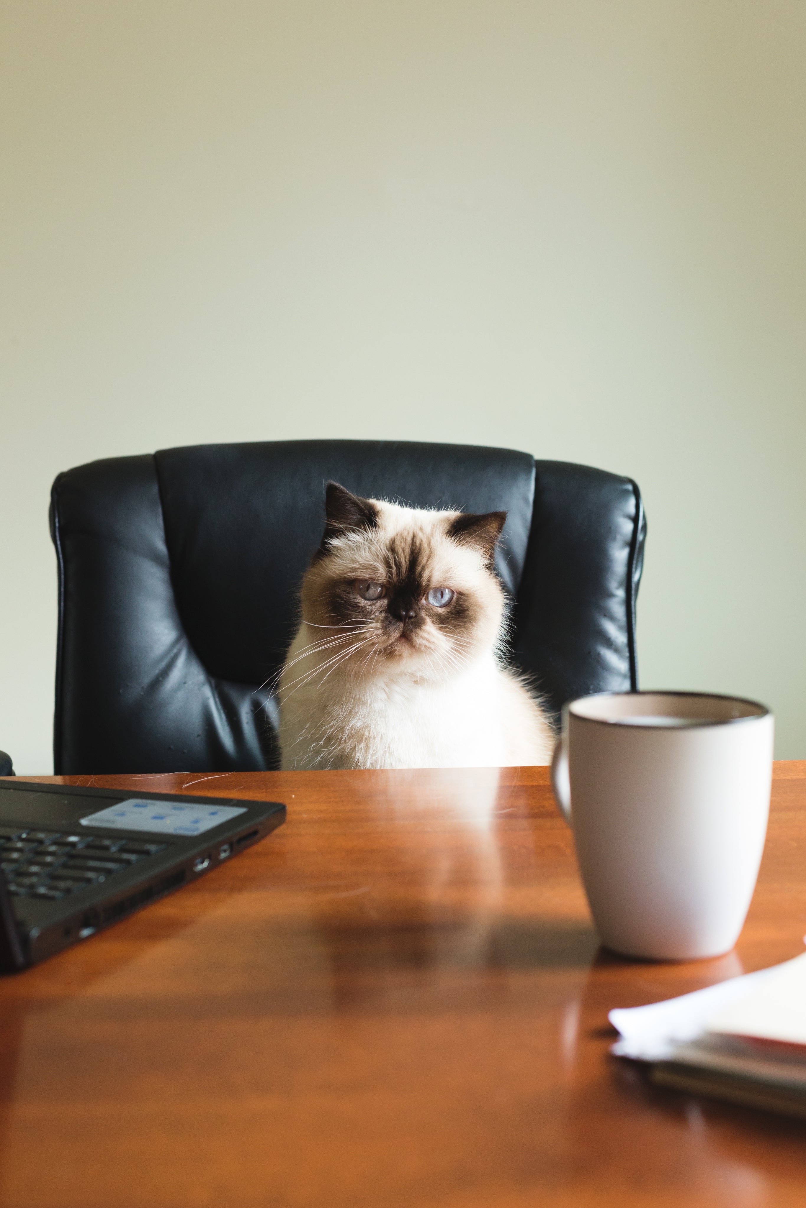 Home Office