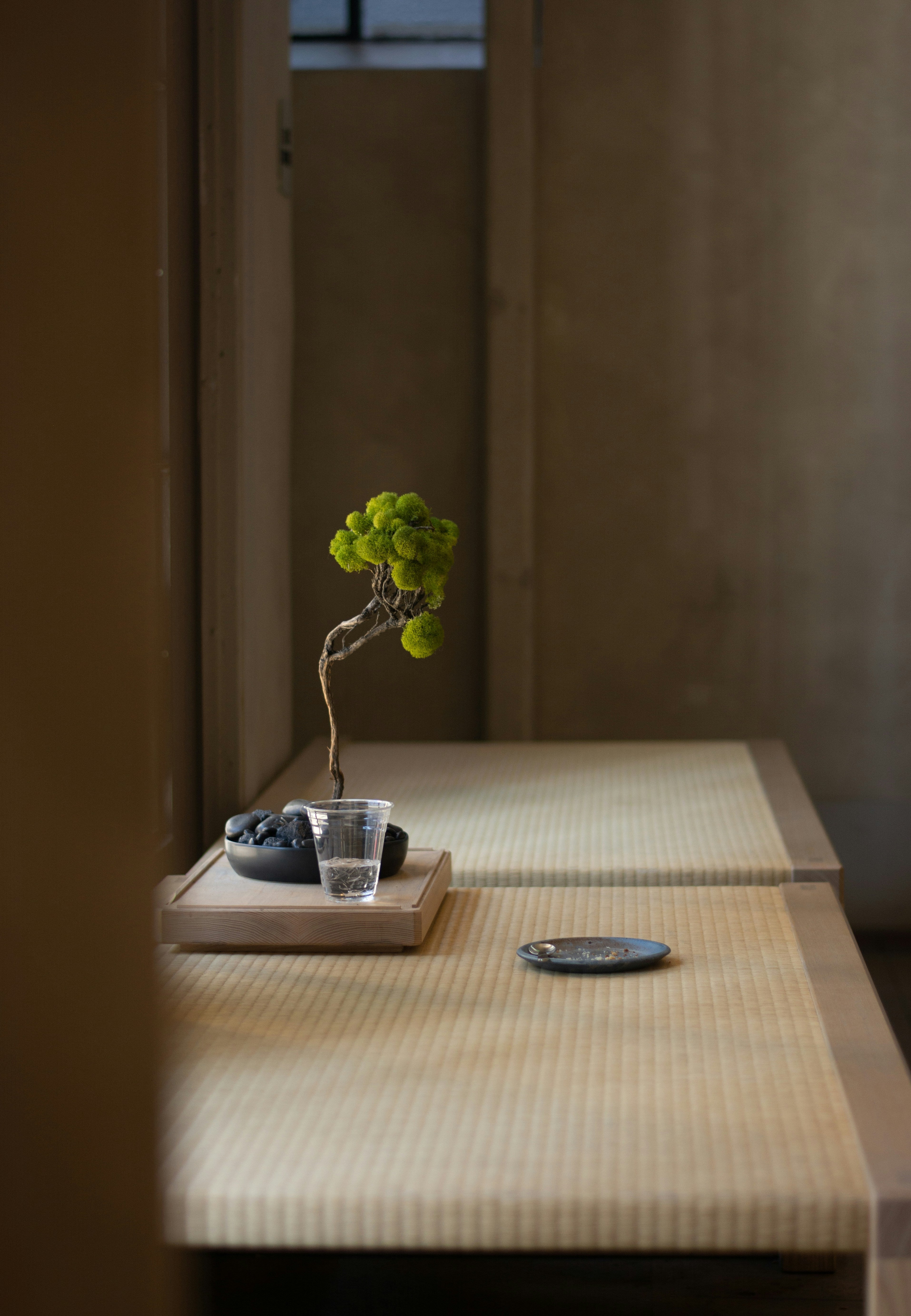 Wabi-Sabi